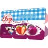 BEBIDA LACTEA ELEGE MORANGO AMEIXA 510GR