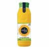 FRUTI AMENDOIM TORRADO C/ CASCA 500GR